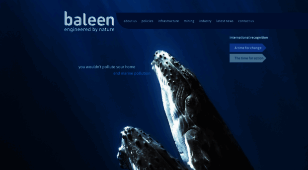 baleen.com