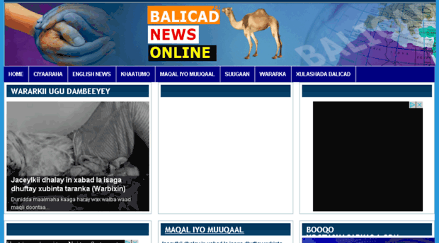 balicad24.com