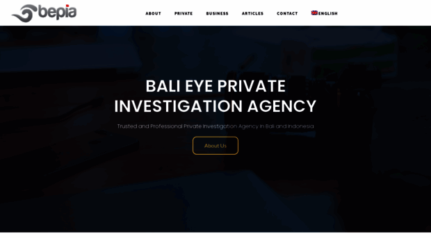 balidetective.com