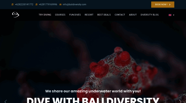 balidiversity.com