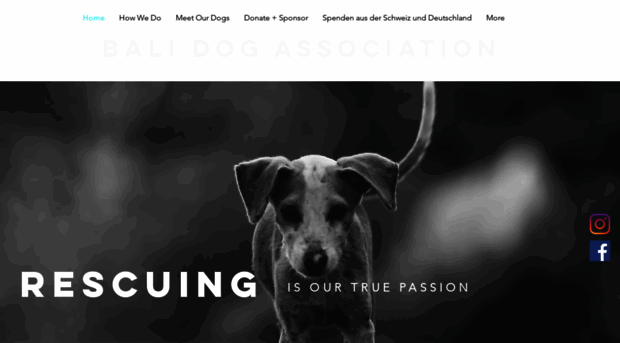 balidogassociation.com