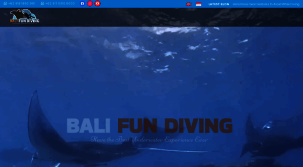 balifundiving.com