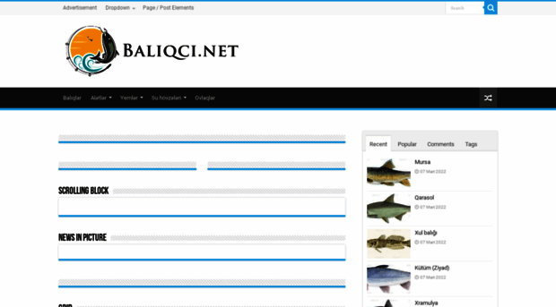 baliqci.net