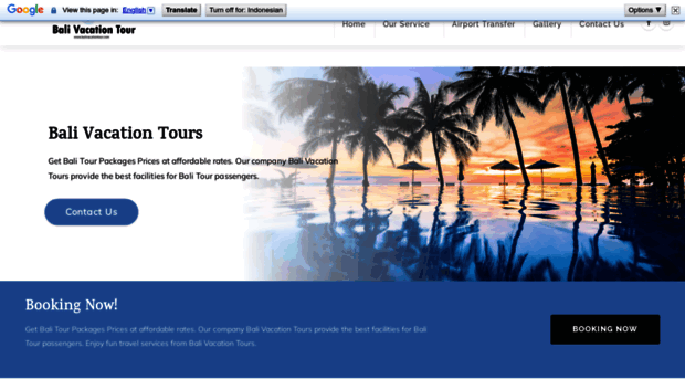 balivacationtours.com