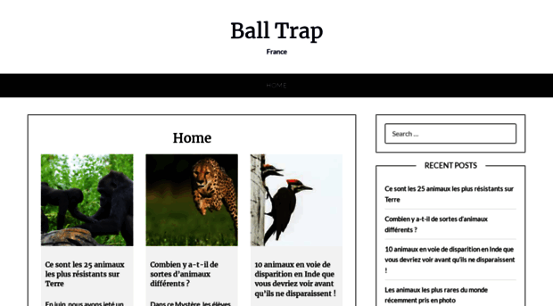 ball-trap-france.fr