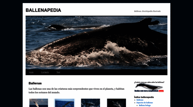 ballenapedia.com
