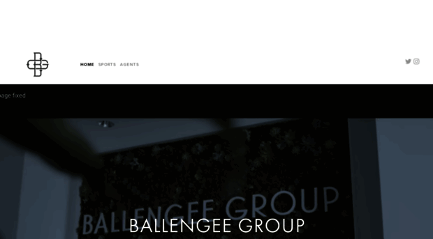 ballengeegroup.com