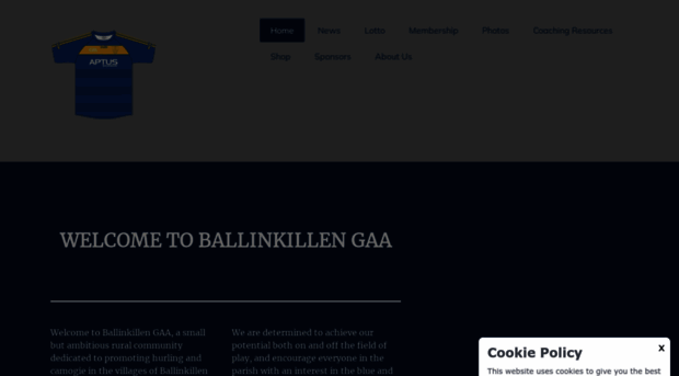 ballinkillen.com