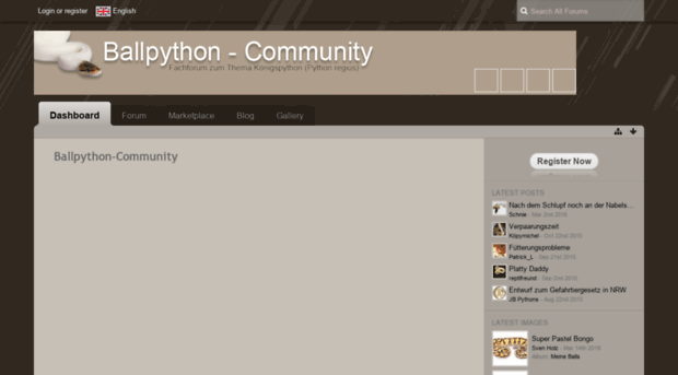 ballpython-community.com