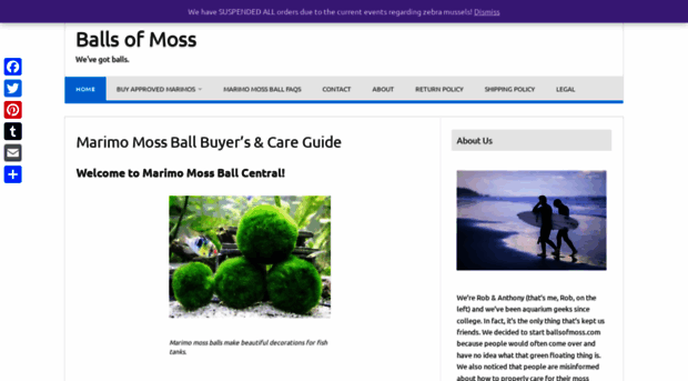 ballsofmoss.com