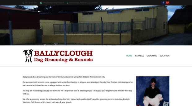 ballycloughdogs.ie