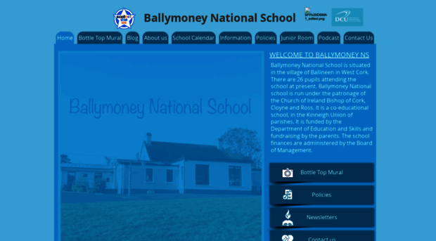 ballymoneyns.com