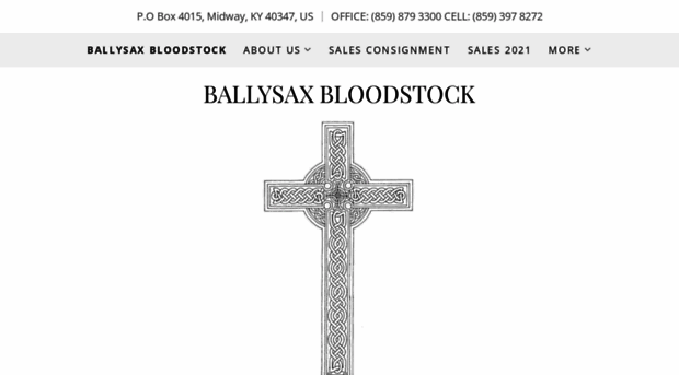 ballysaxbloodstock.com