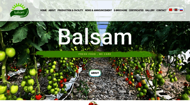 balsam.com.tr