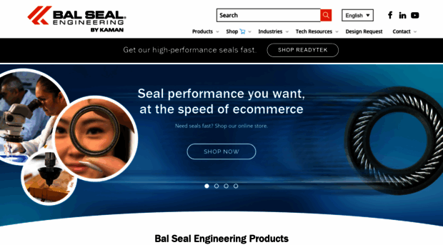 balseal.com