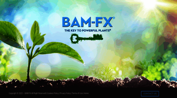 bam-fx.com