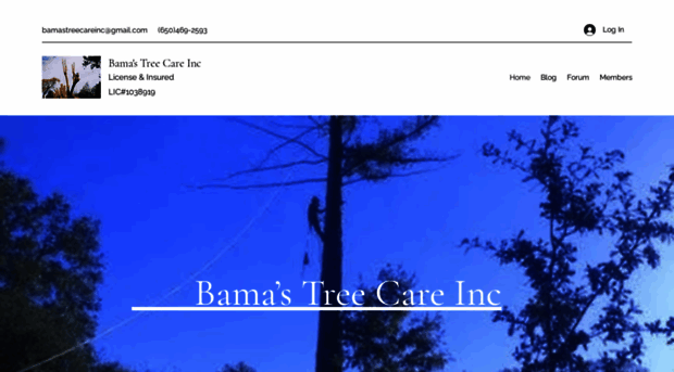 bamastreecare.com