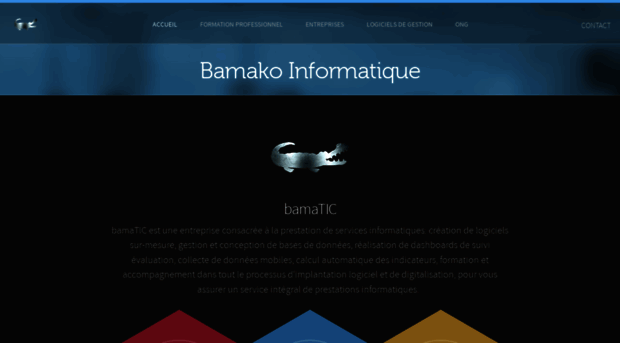 bamatic.com