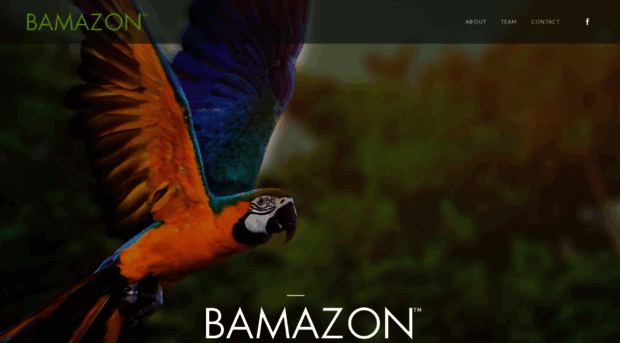 bamazon.com.br