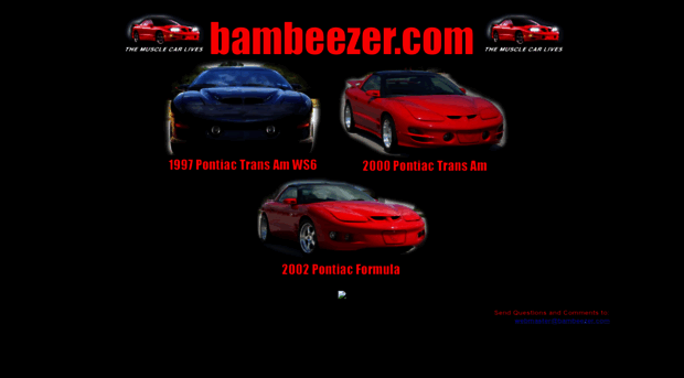 bambeezer.com