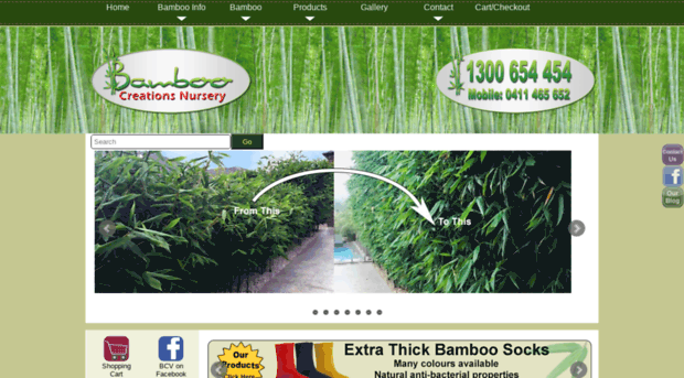 bamboo-plants.com.au