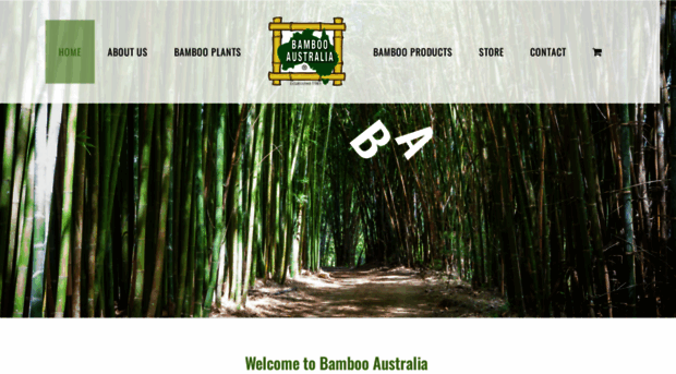 bambooaustralia.com.au