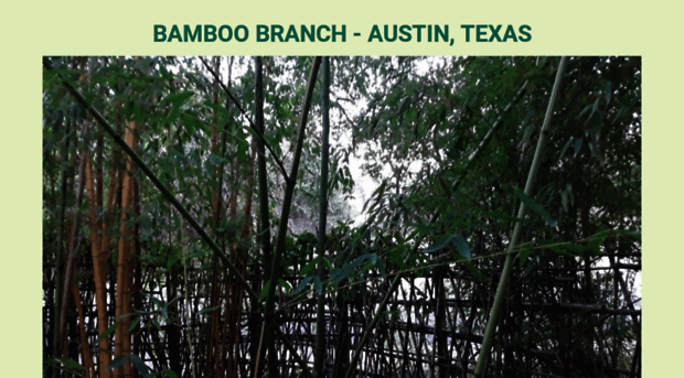 bamboobranch.com