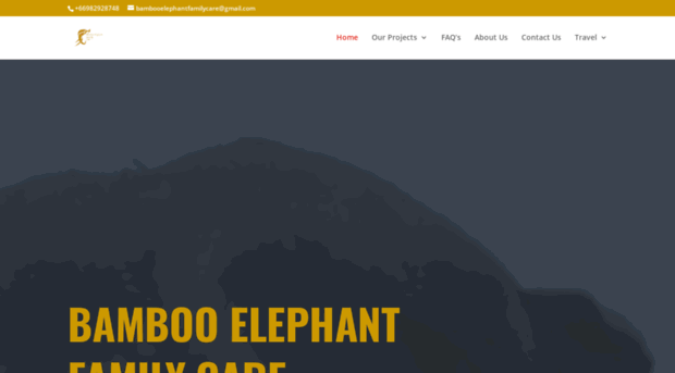 bambooelephantfamilycare.com