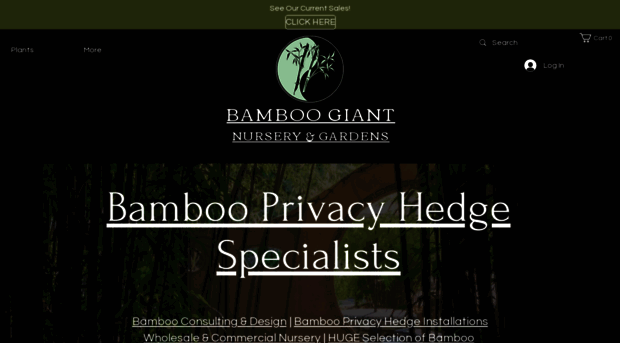 bamboogiant.com