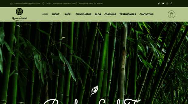 bambooleaftea.net