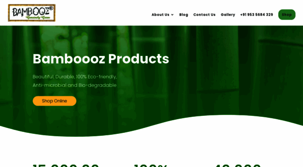 bamboooz.com