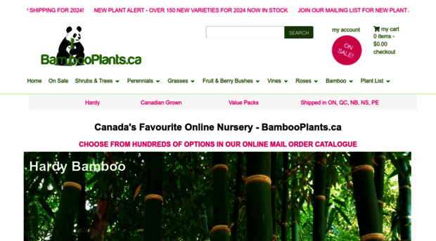 bambooplants.ca