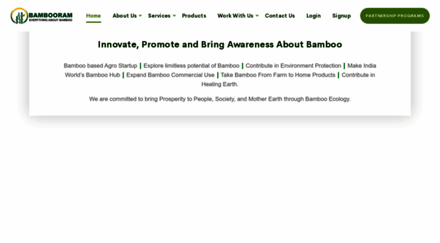 bambooramagro.com