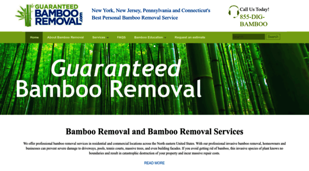 bambooremoval.com