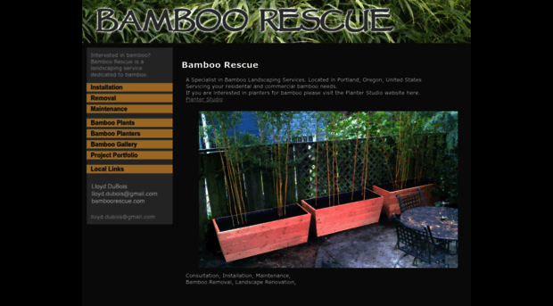 bamboorescue.com