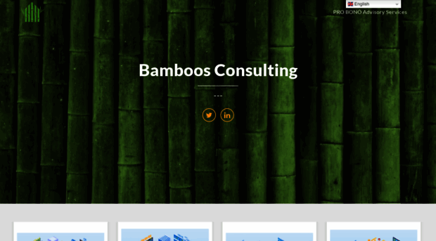 bamboos-consulting.com