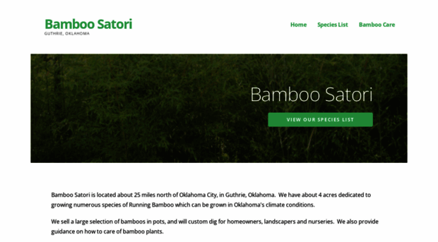 bamboosatori.com