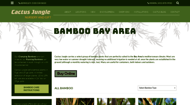 bamboosfbayarea.com