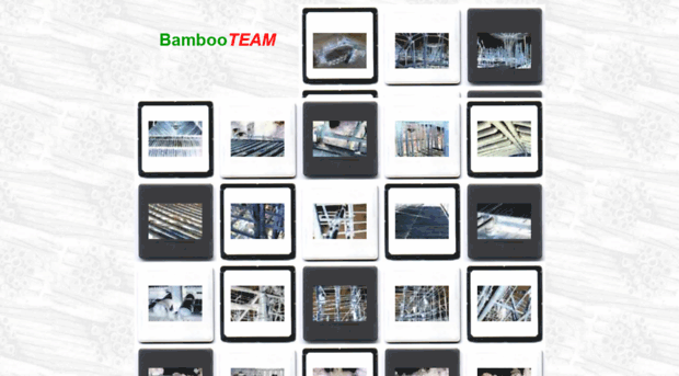 bambooteam.com