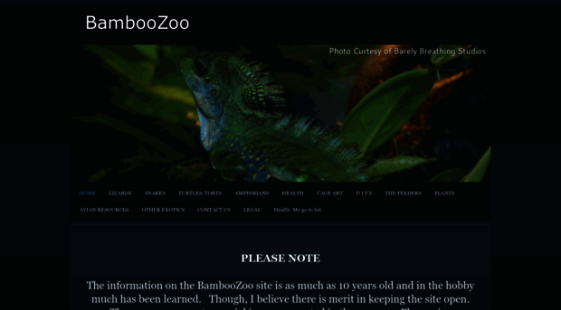 bamboozoo.weebly.com