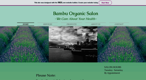 bambuorganicsalon.com