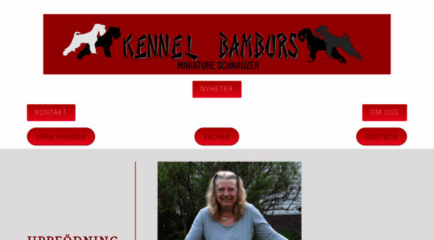 bamburs.com