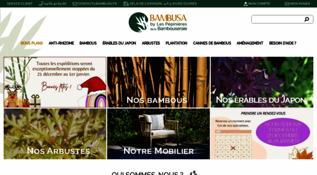 bambusa.fr