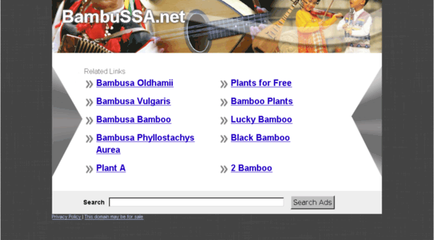 bambussa.net