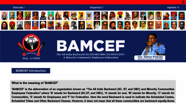 bamcef.info