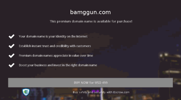 bamggun.com