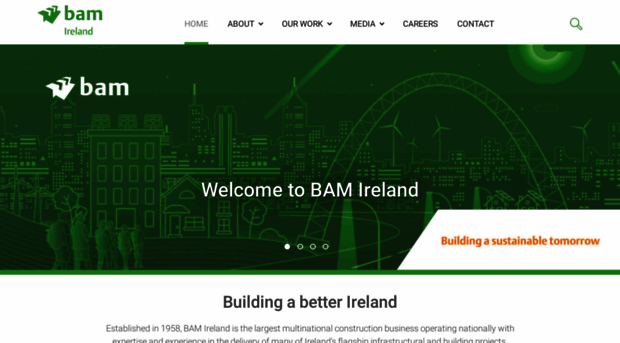 bamireland.ie