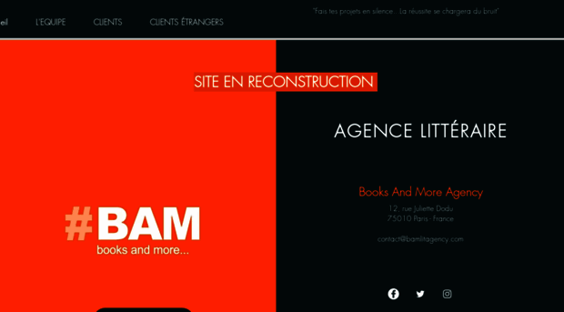 bamlitagency.com