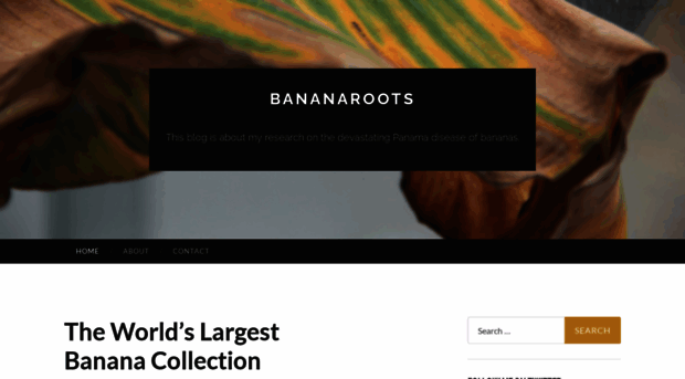 bananaroots.wordpress.com