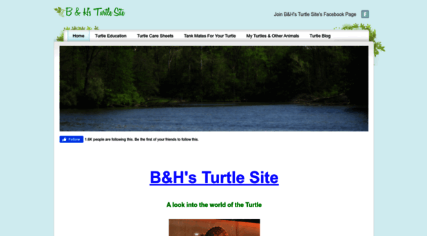 bandhturtlesite.weebly.com